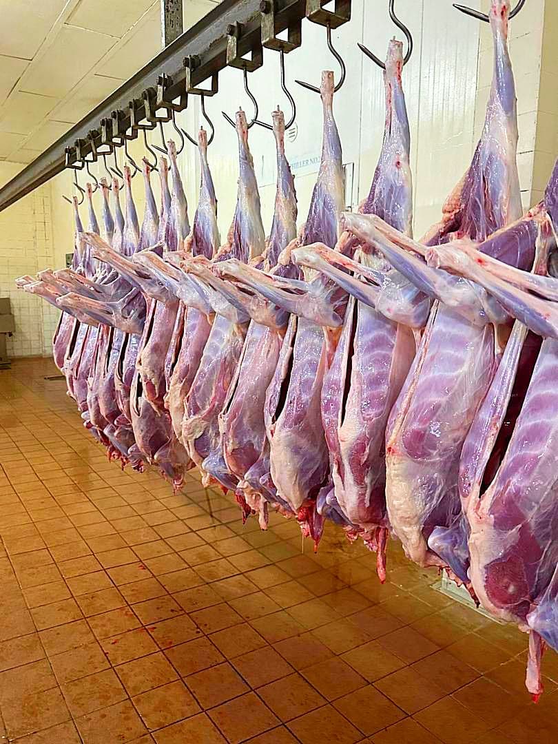 Meat